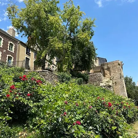 Vieux Mans *