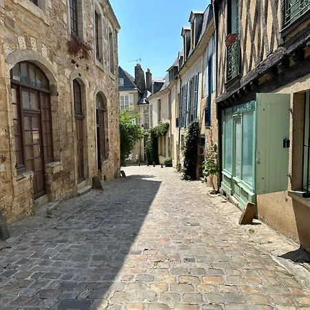 Apartment Vieux Mans