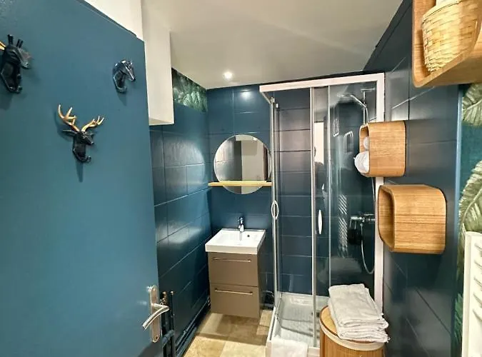 Apartment Vieux Mans *