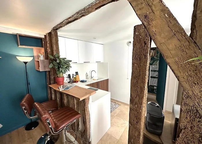 Appartement Vieux Mans